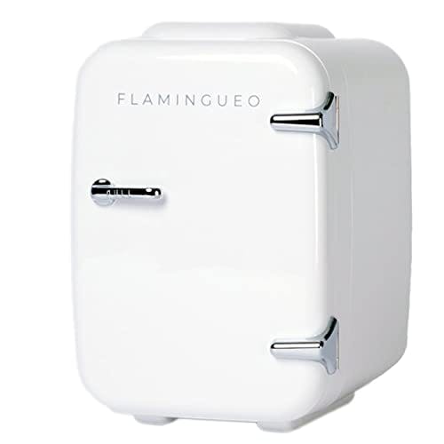 Flamingueo Mini Kühlschrank 4L - Kühlschrank Klein 12V/220V, Skincare Fridge, Funktion Kühlen und Heizen, Kleiner Kühlschrank, Room Decor, Minibar