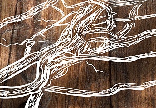 murando - Bilder Baum 200x100 cm Vlies Leinwandbild 5 tlg Kunstdruck modern Wandbilder XXL Wanddekoration Design Wand Bild - Holzoptik Bretter Abstrakt b-C-0046-b-n 3
