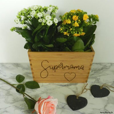 DIY Muttertagsblumentopf